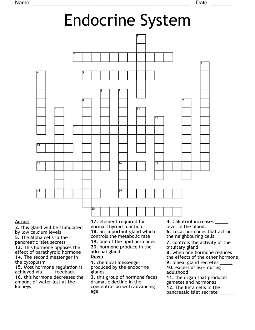Endocrine System Crossword