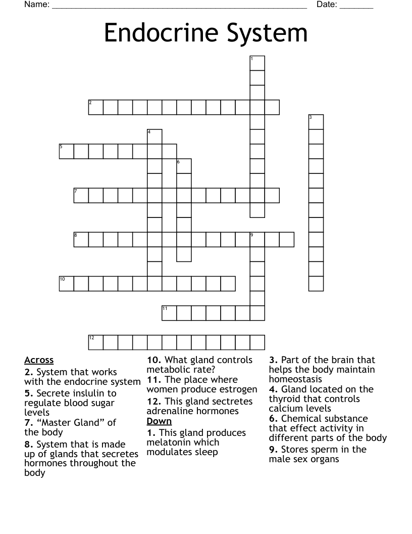 Endocrine System Crossword