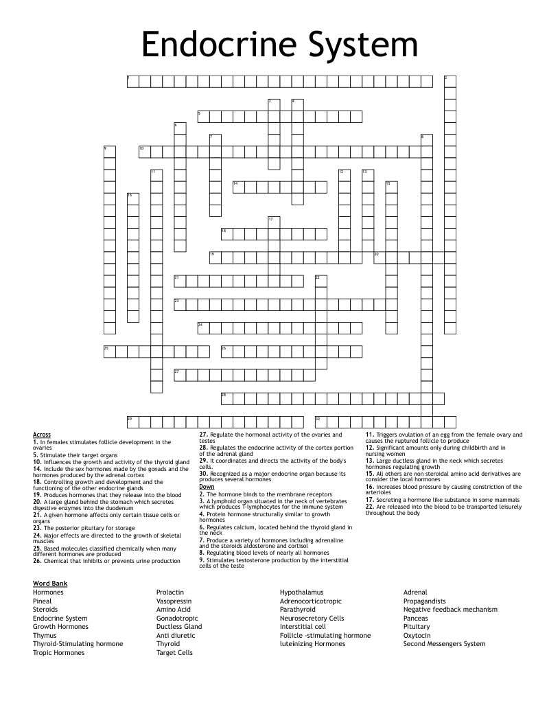 Endocrine System Crossword