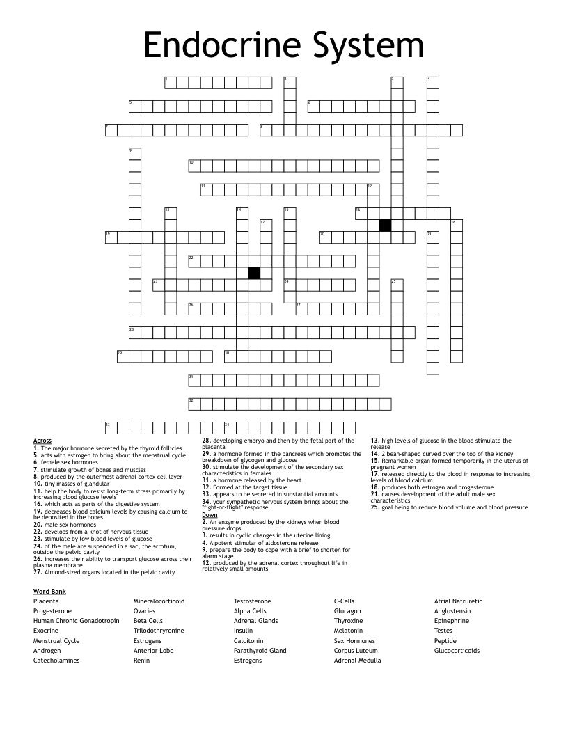 Endocrine System Crossword