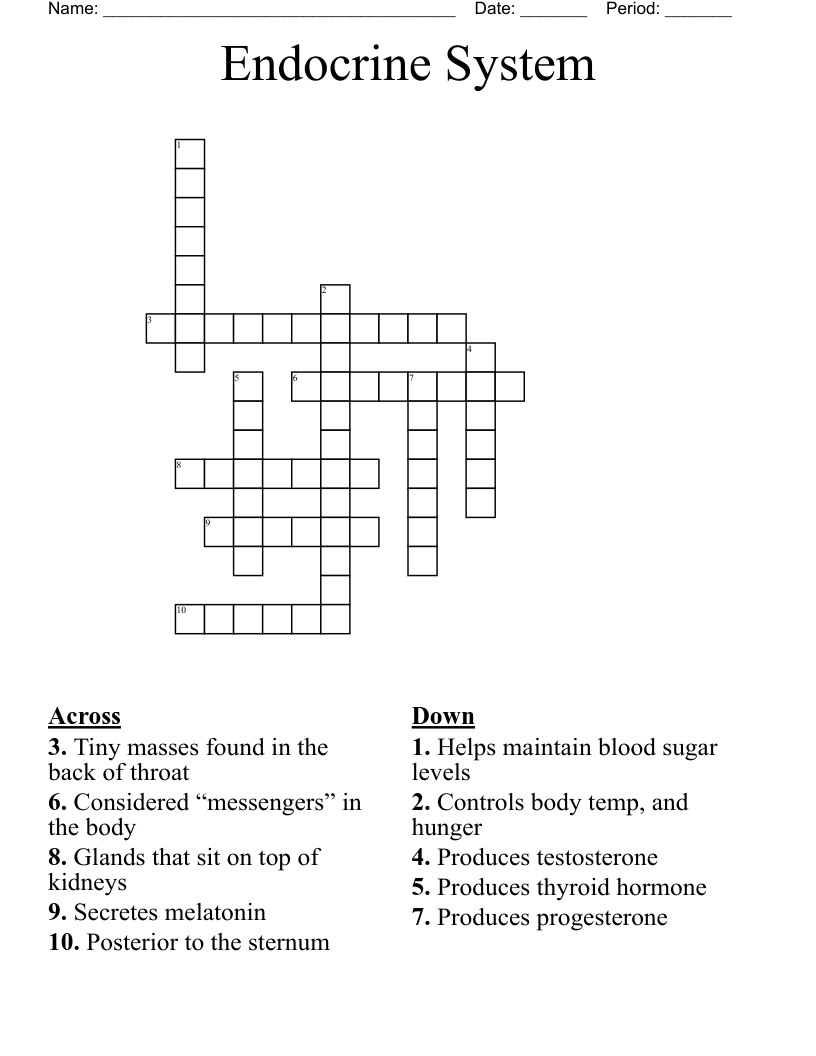 Endocrine System Crossword