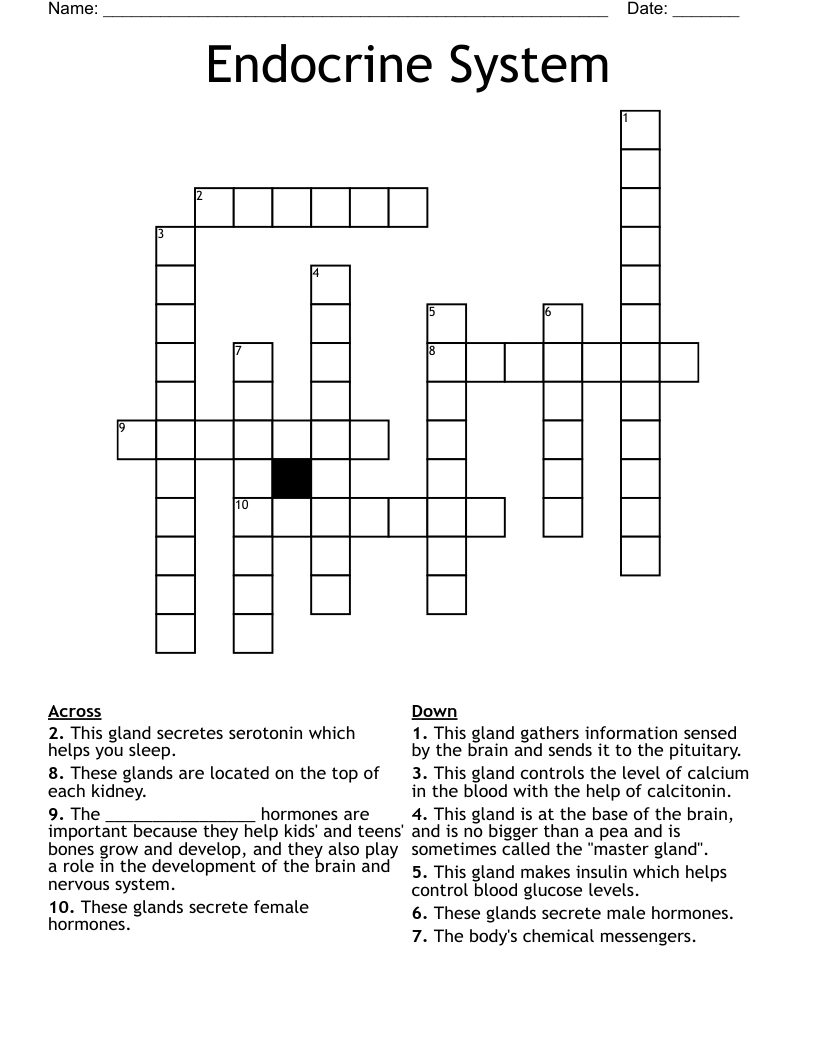 Endocrine System Crossword
