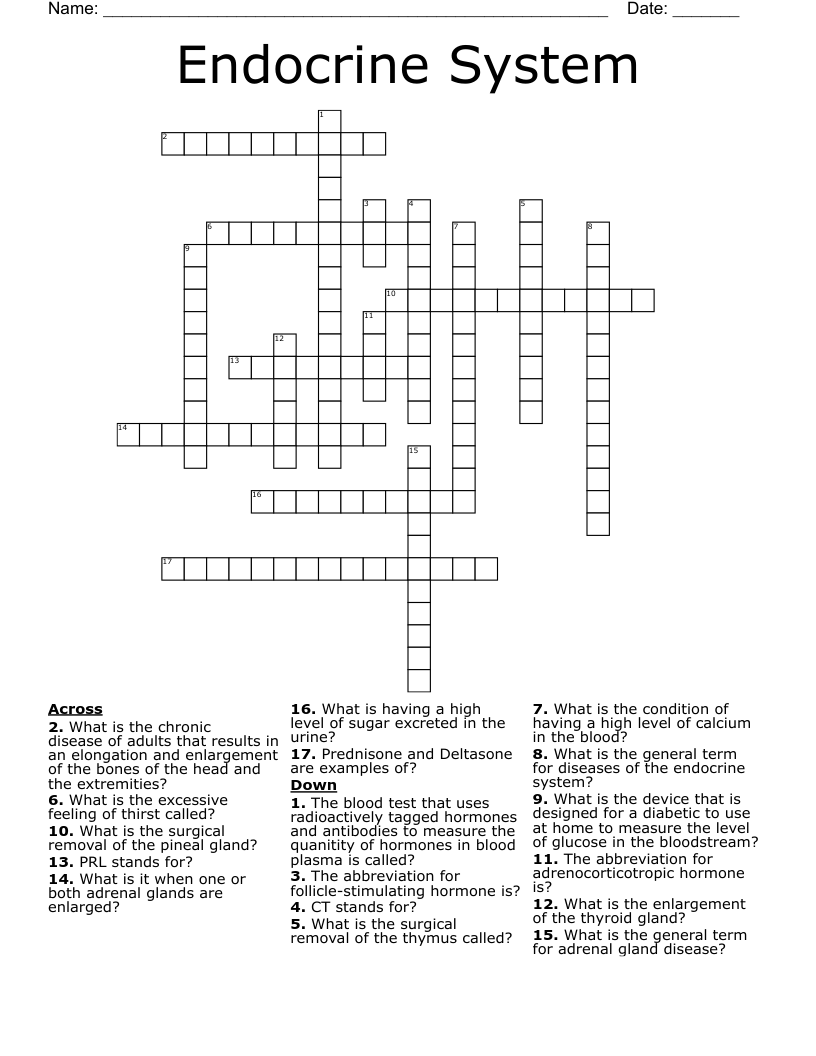 Endocrine System Crossword