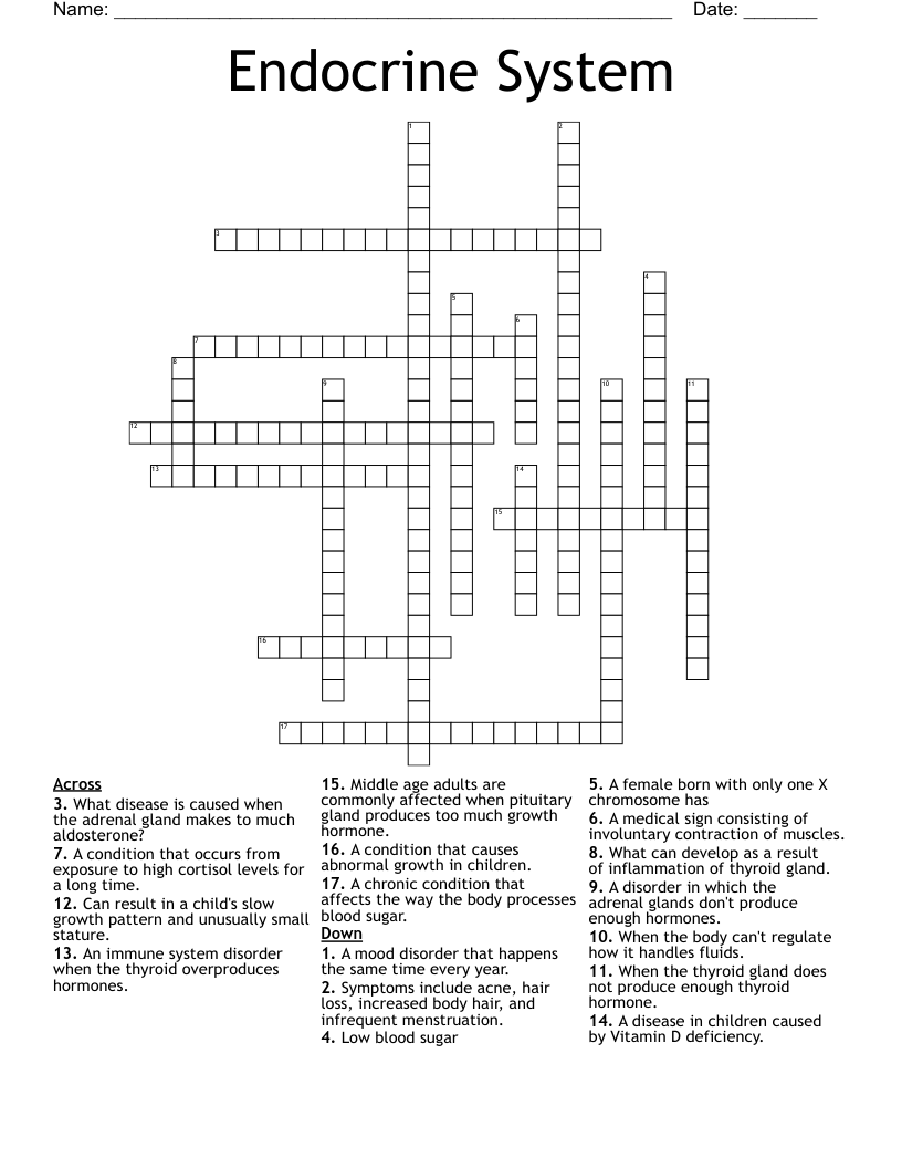 Endocrine System Crossword