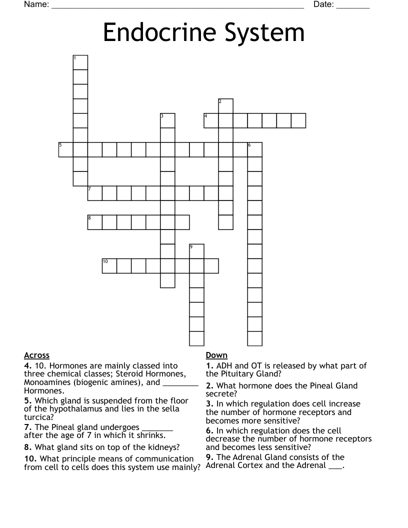 Endocrine System Crossword