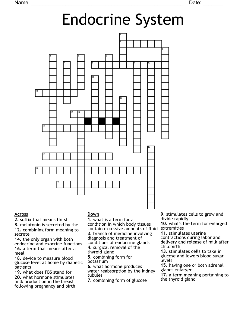 Endocrine System Crossword