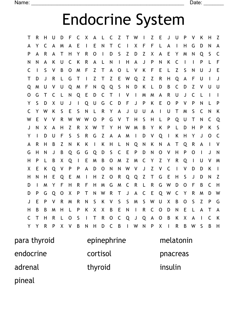 Endocrine System Word Search