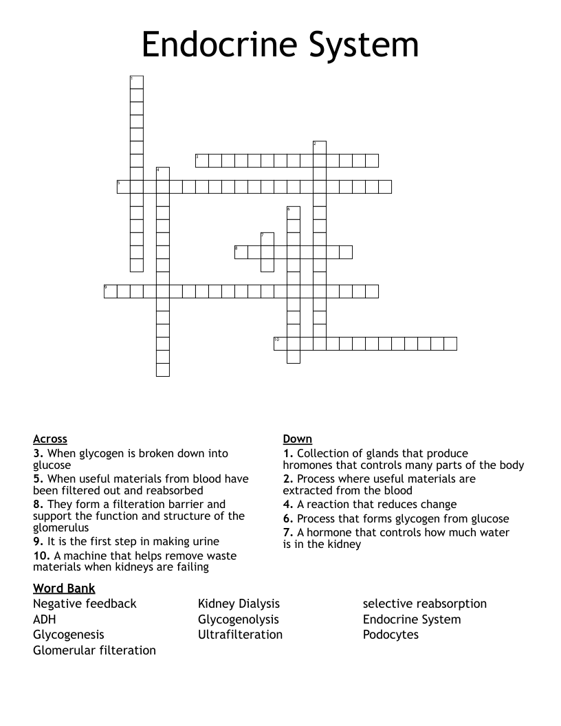 Endocrine System Crossword