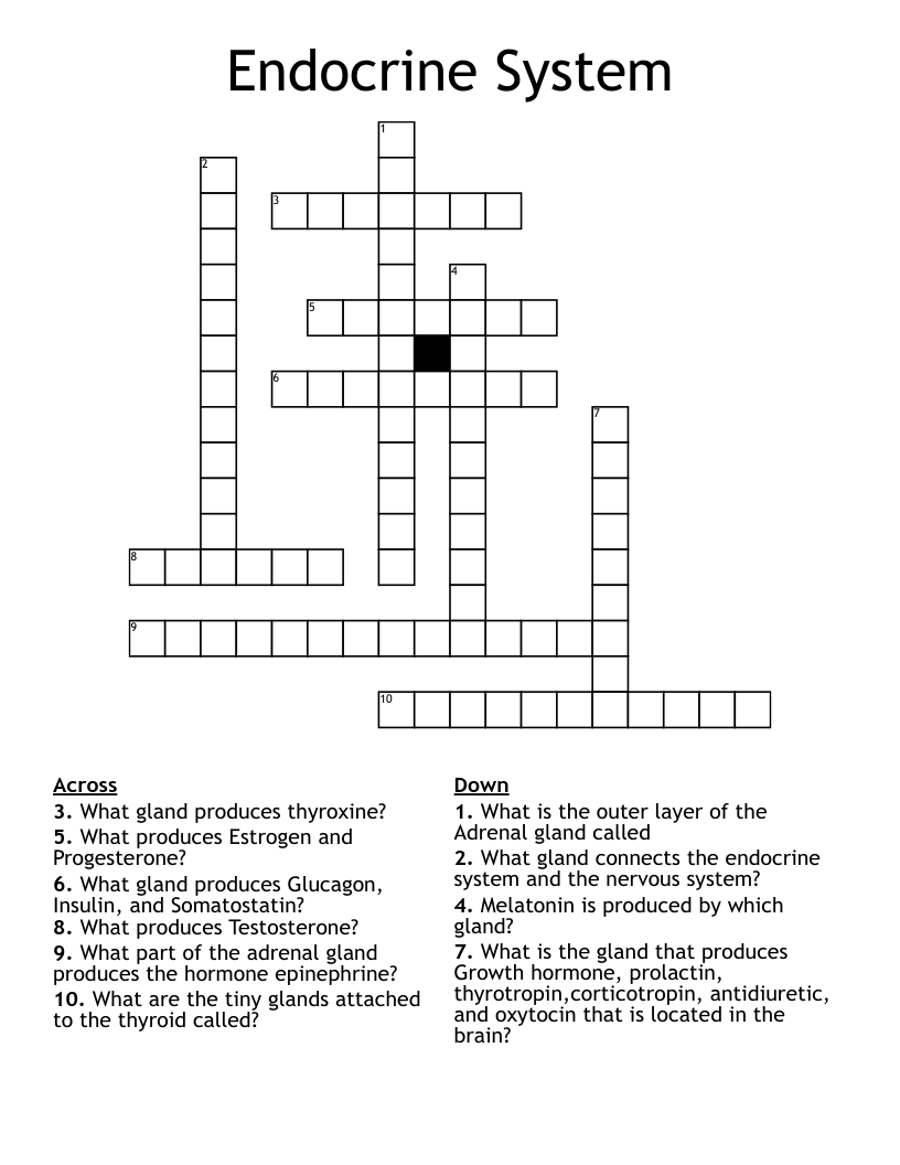 Endocrine System Crossword