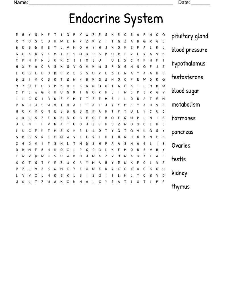 Endocrine System Word Search