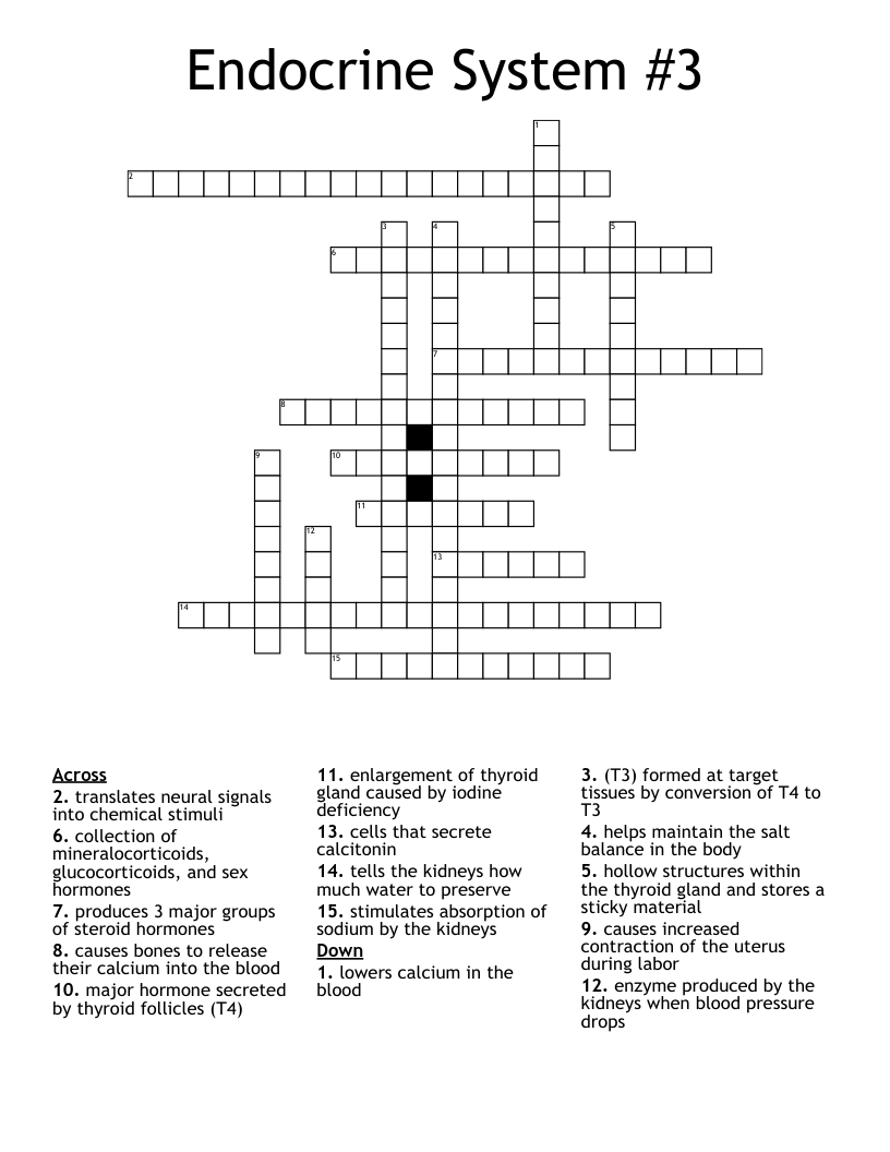 Endocrine System #3 Crossword