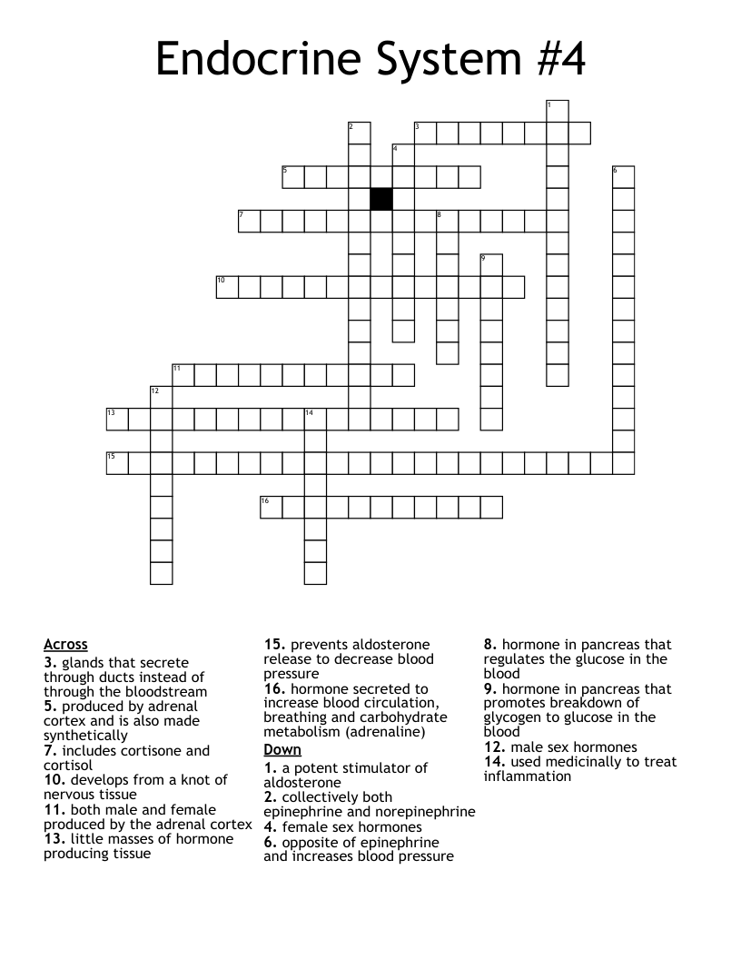Endocrine System #4 Crossword
