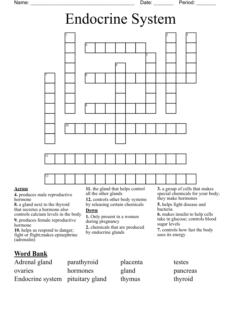 Endocrine System Crossword
