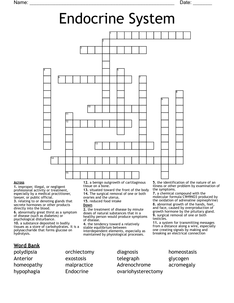 Endocrine System Crossword