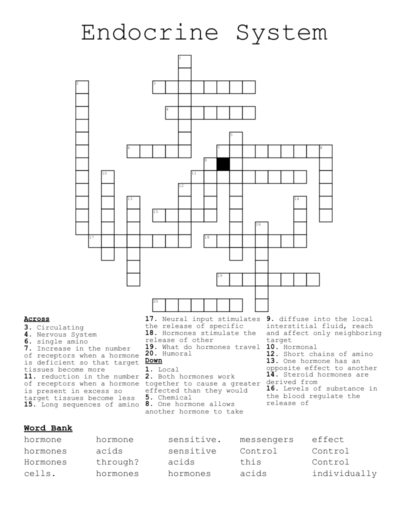 Endocrine System Crossword