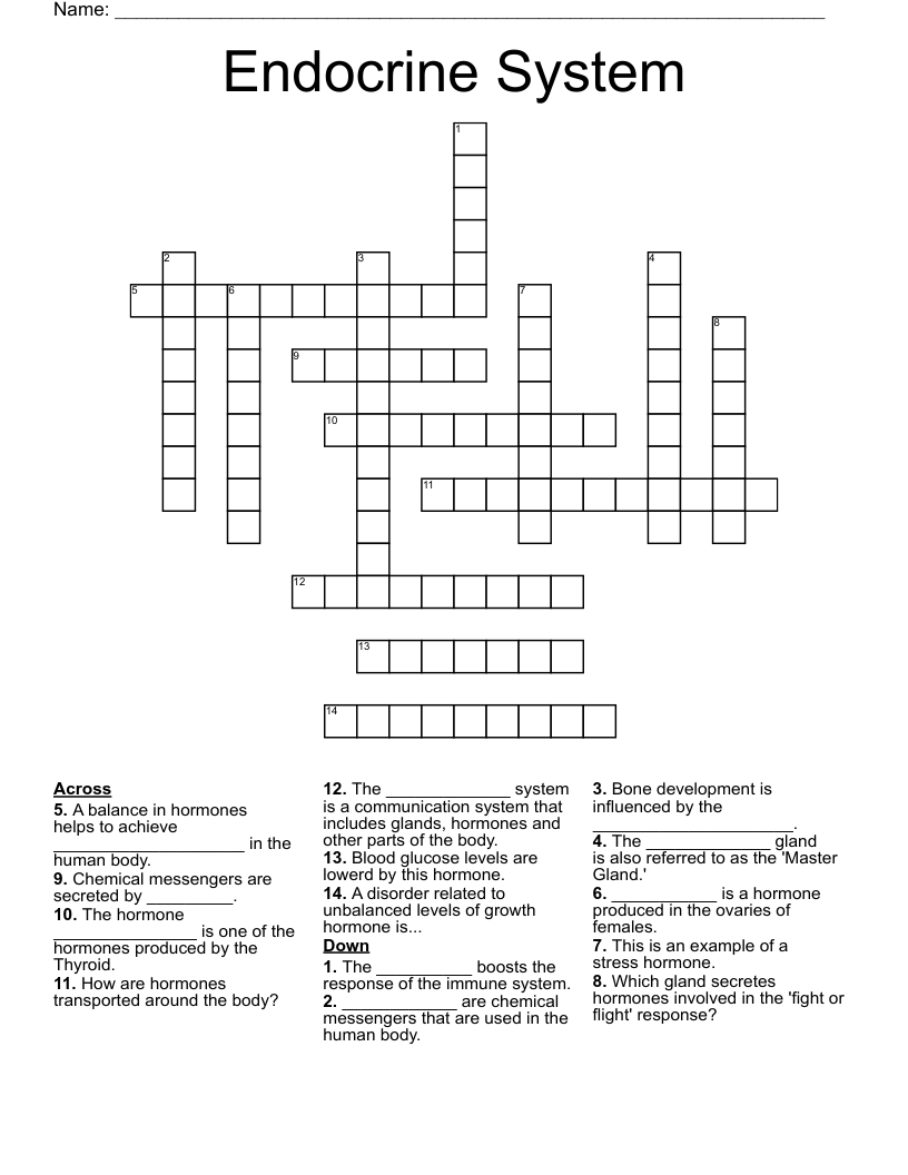 Endocrine System Crossword