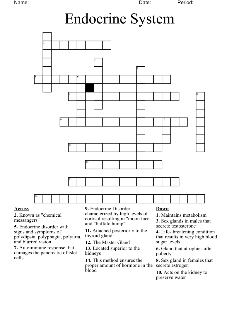 Endocrine System Crossword