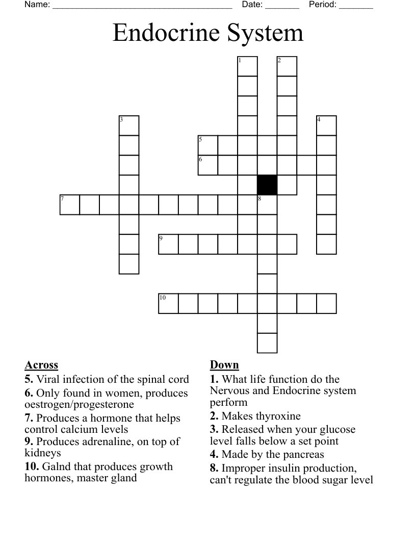 Endocrine System Crossword