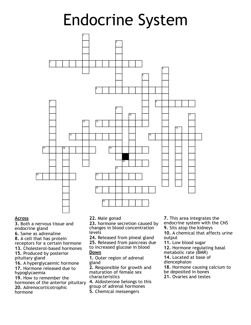 Endocrine System Crossword