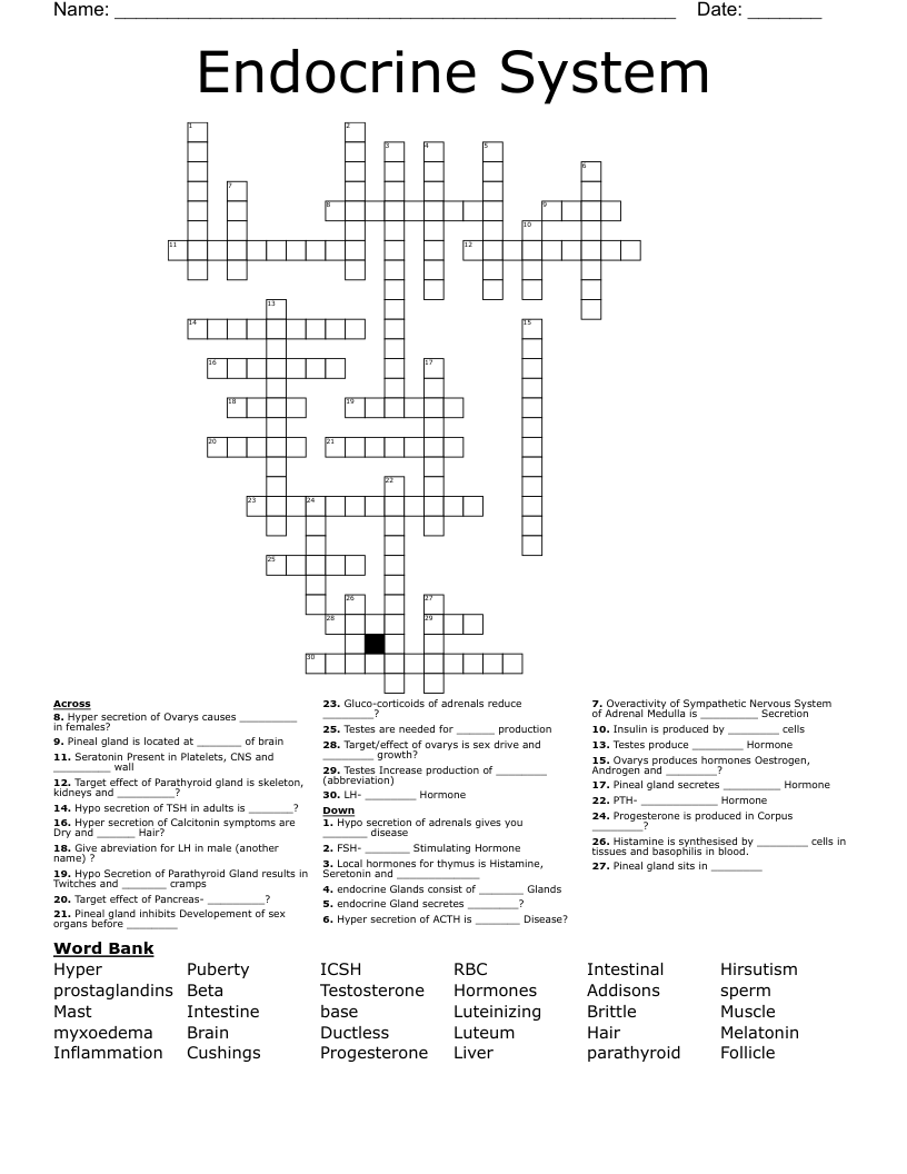 Endocrine System Crossword
