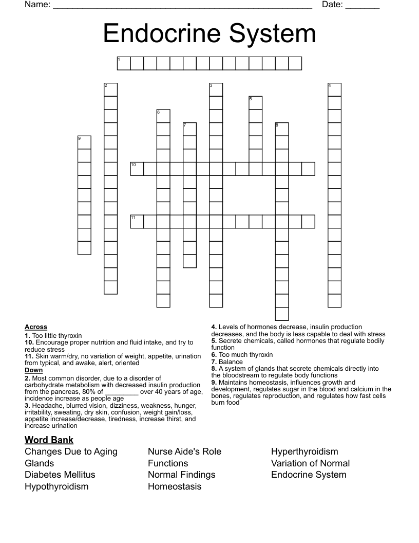 Endocrine System Crossword