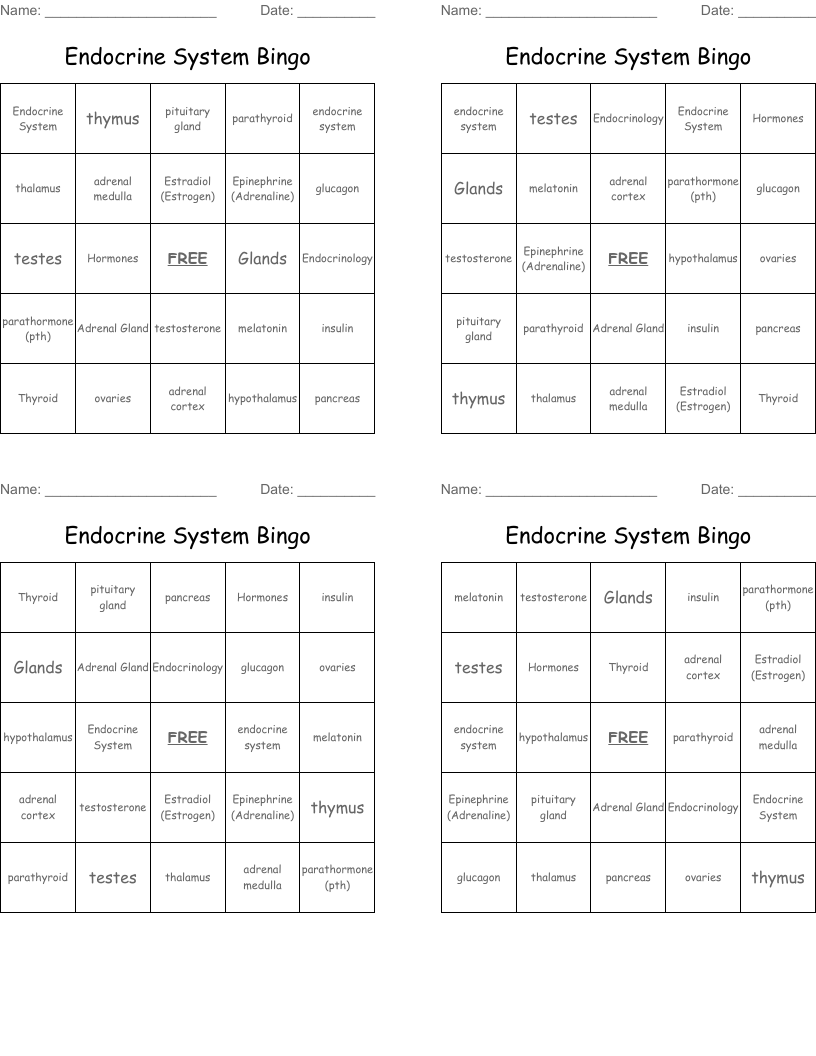 Endocrine System Bingo
