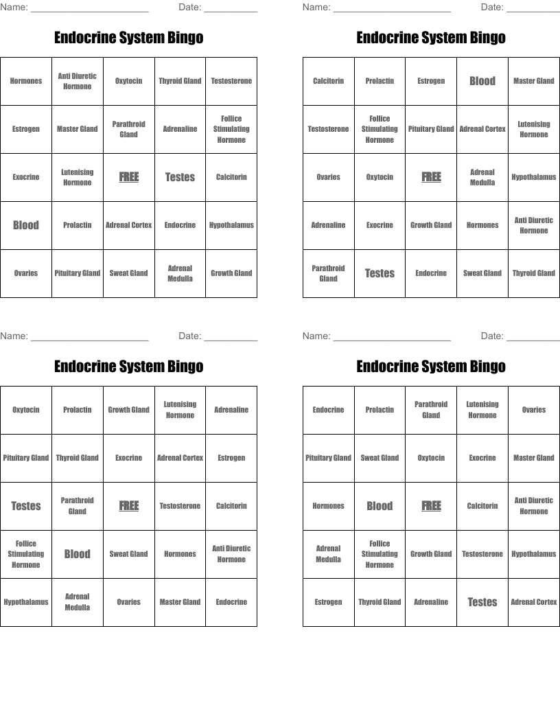Endocrine System Bingo