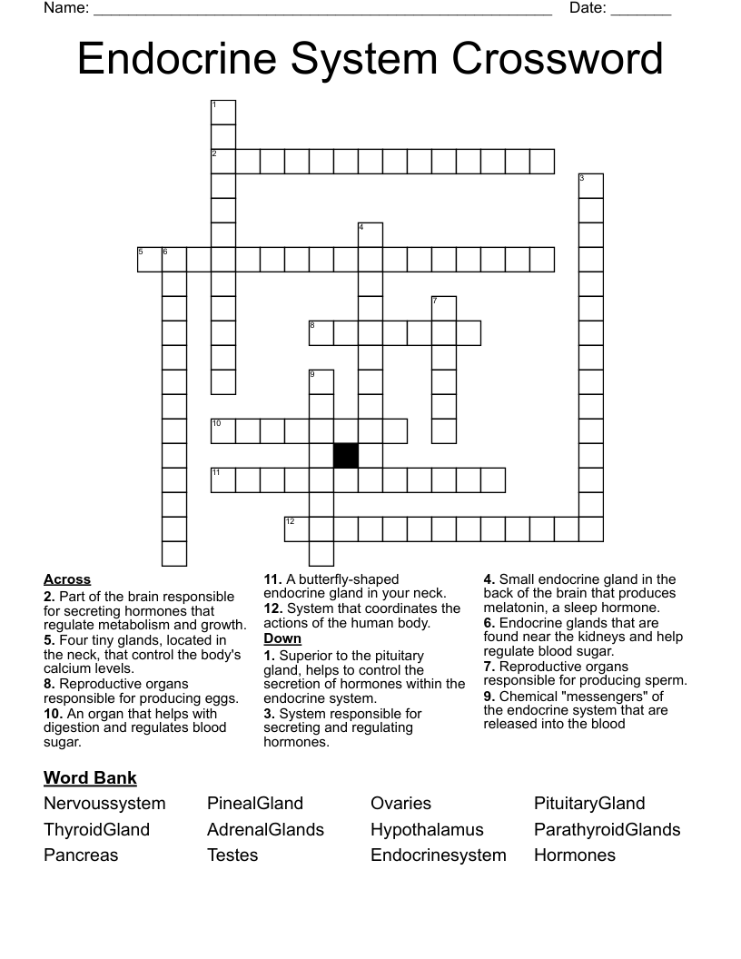 Endocrine System Crossword