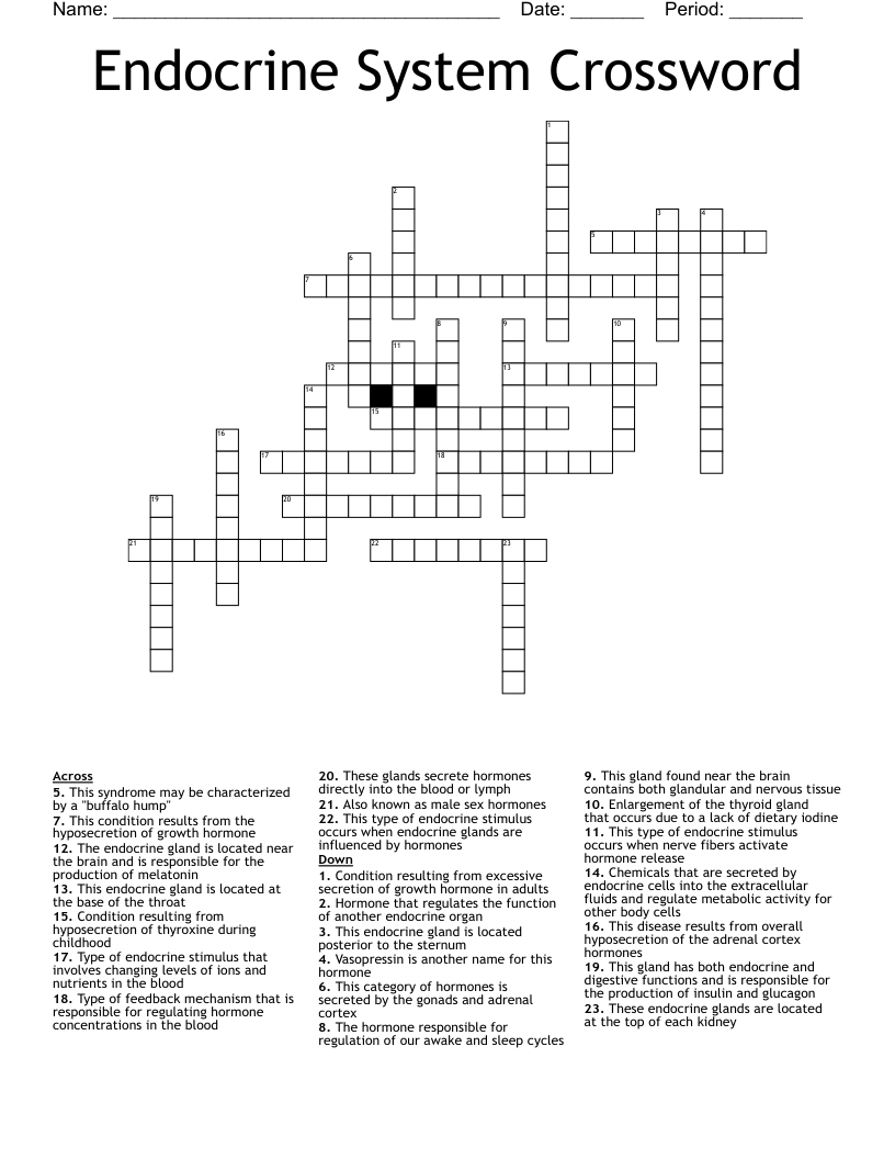 Endocrine System Crossword
