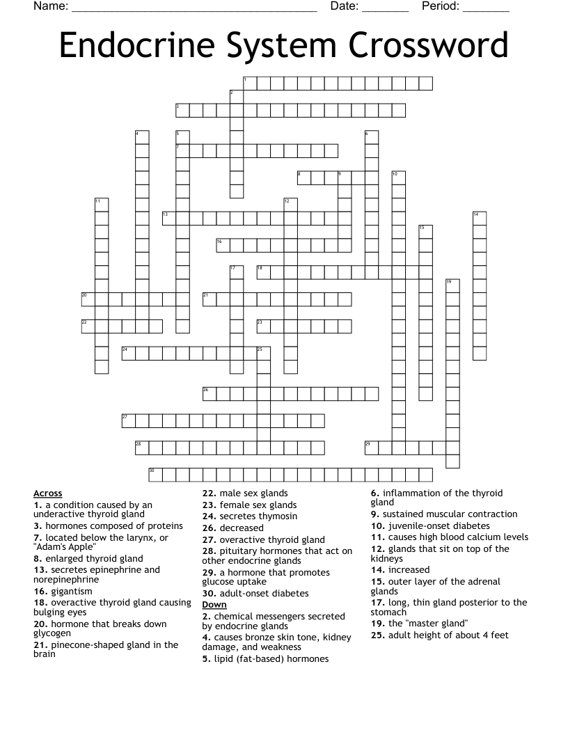 Endocrine System Crossword