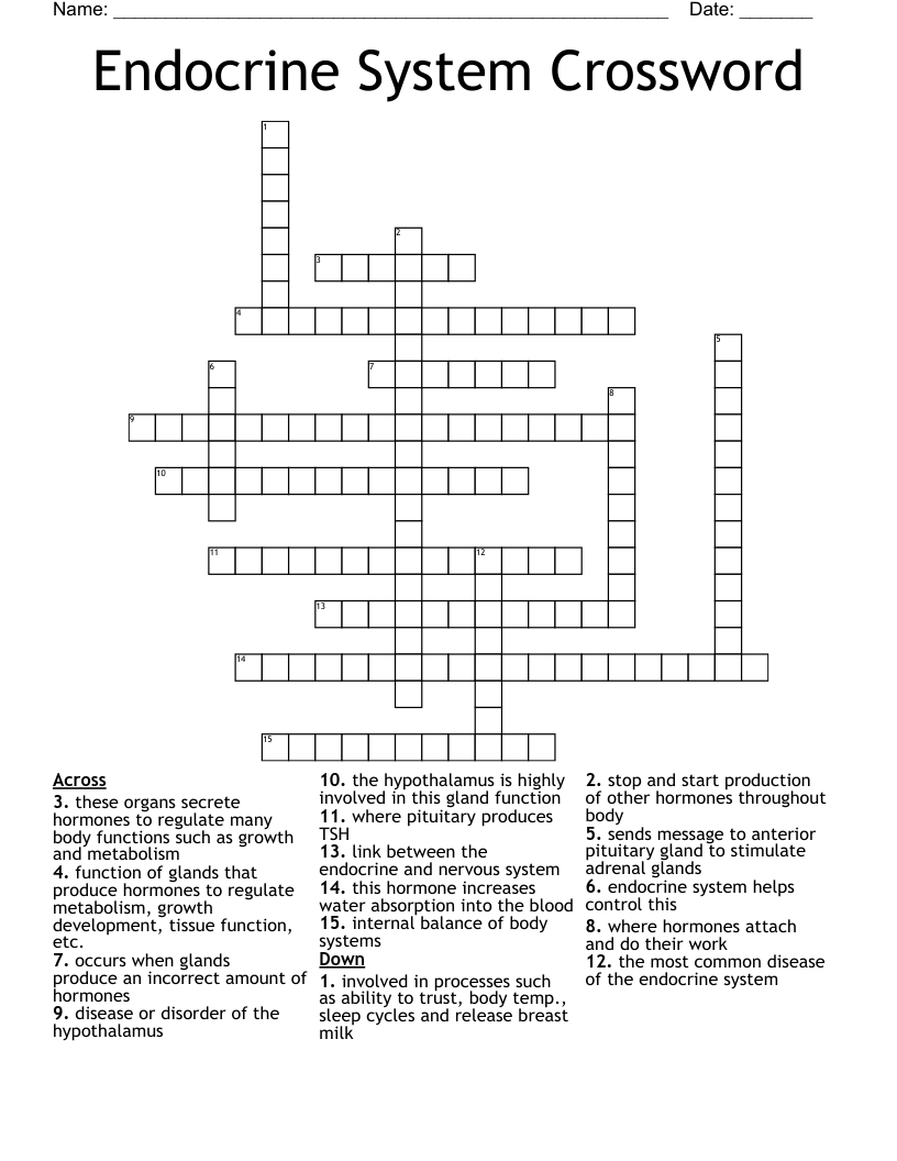 Endocrine System Crossword