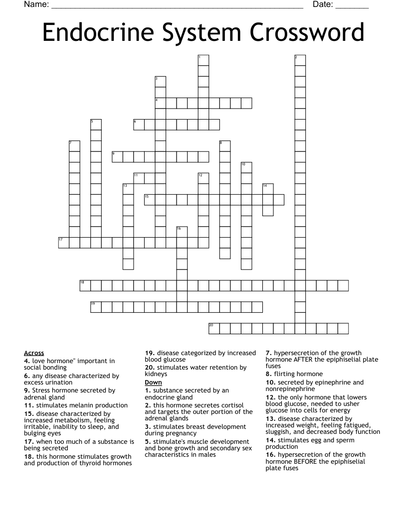 Endocrine System Crossword