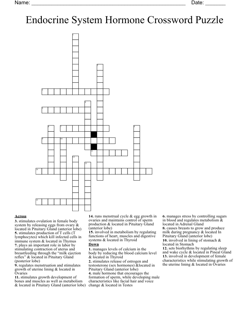 Endocrine System Hormone Crossword Puzzle