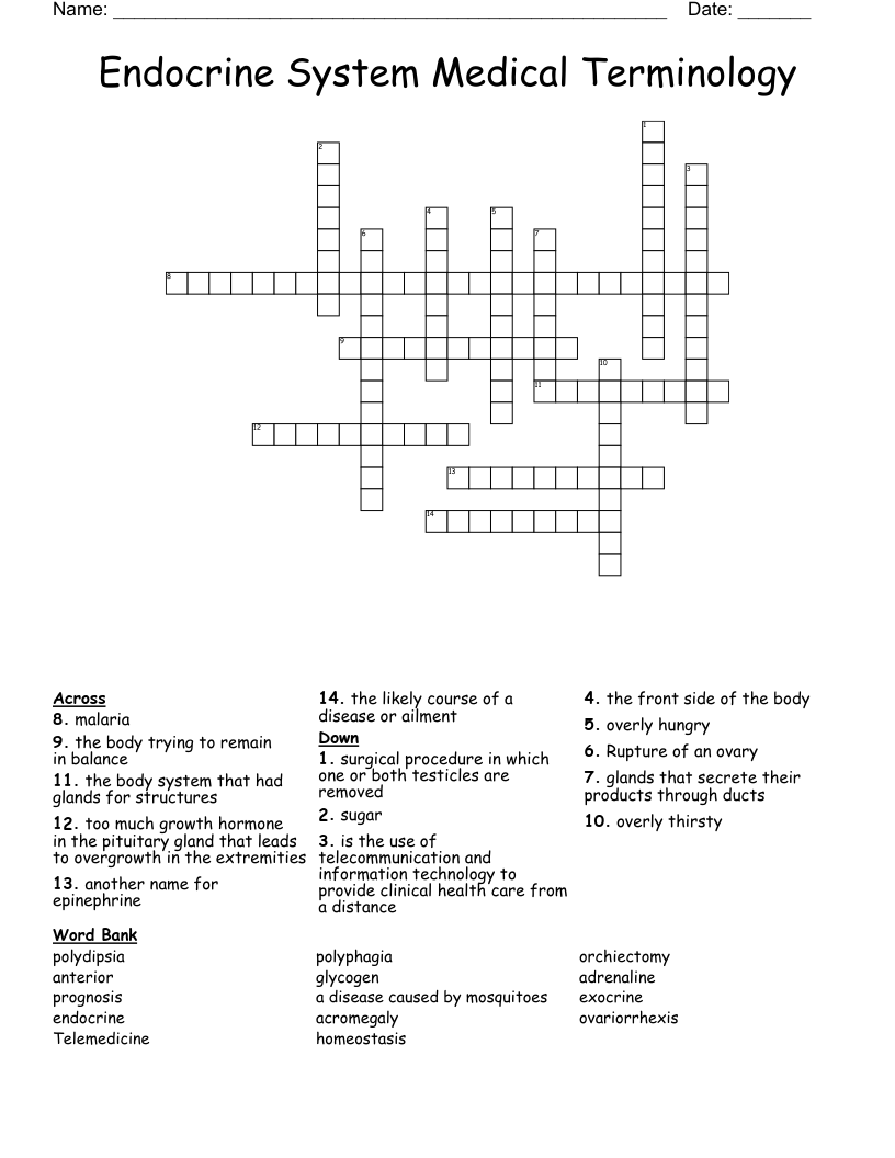 Endocrine System Medical Terminology  Crossword