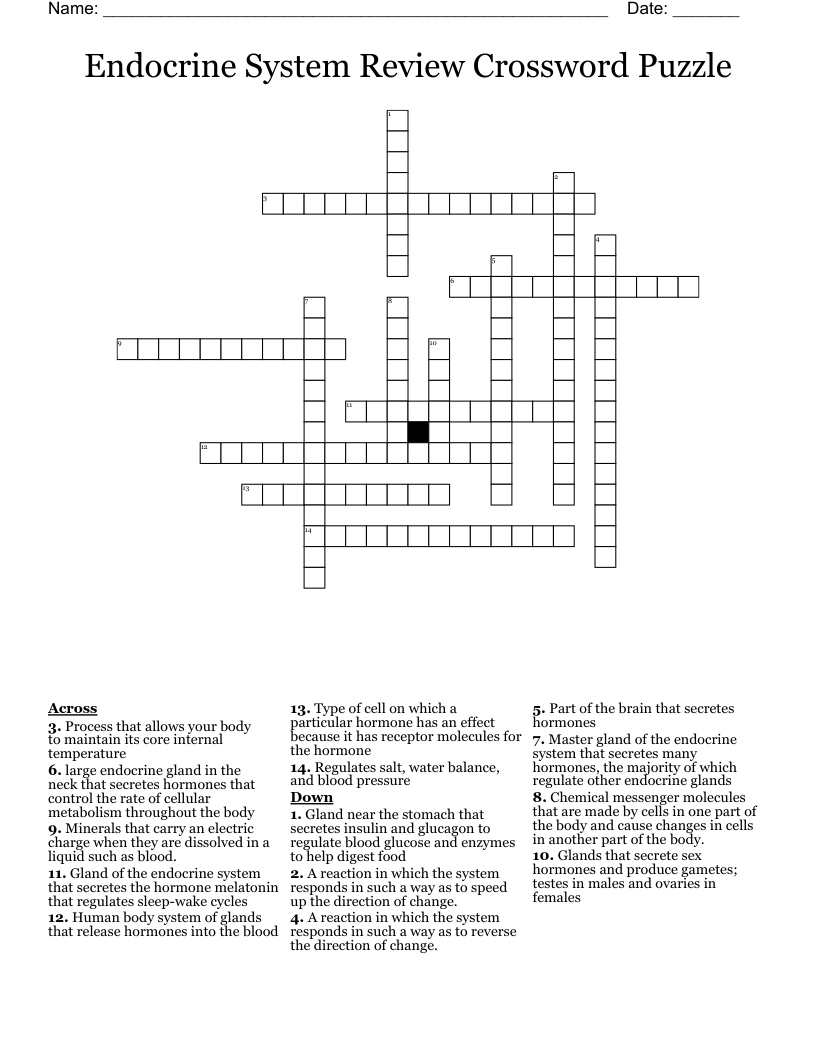 Endocrine System Review Crossword Puzzle