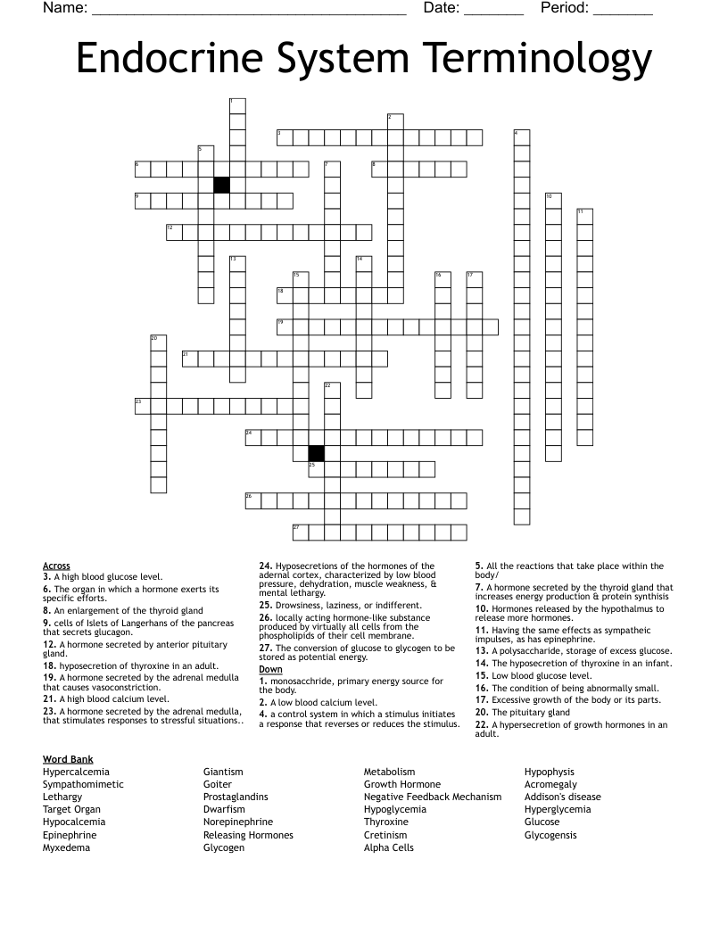 Endocrine System Terminology Crossword