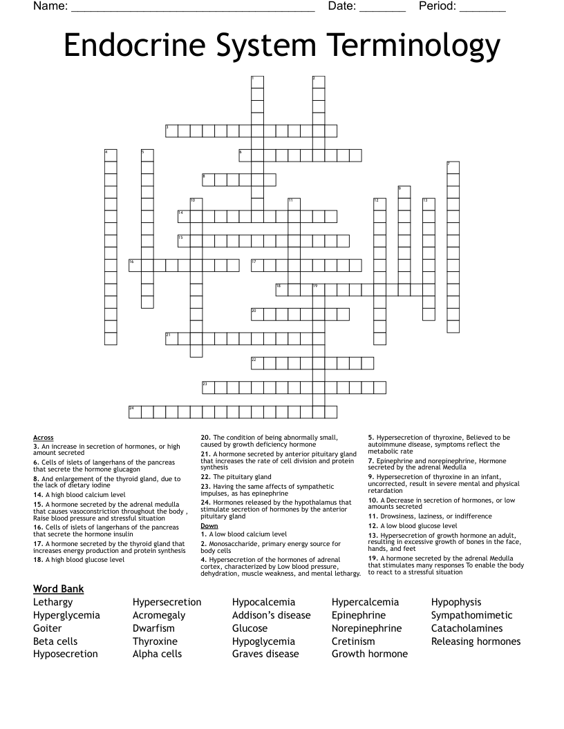 Endocrine System Terminology  Crossword