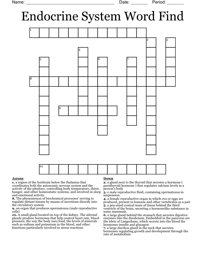 Endocrine System Word Find Crossword