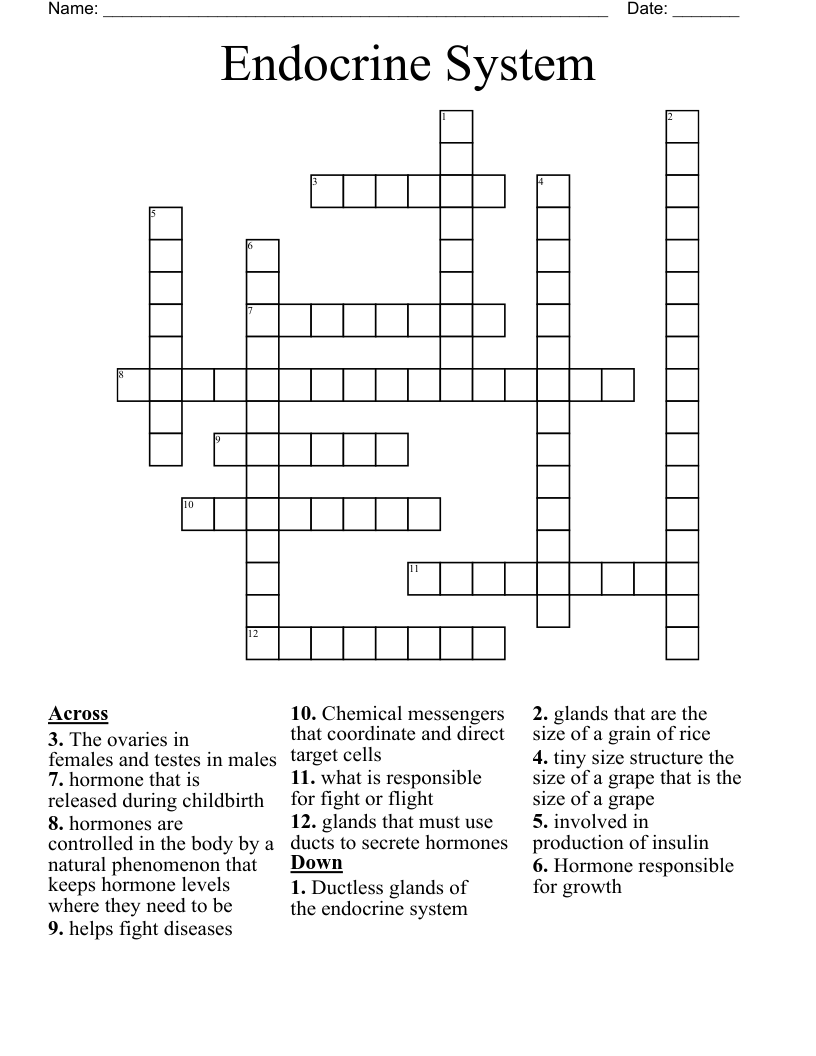 Endocrine System  Crossword