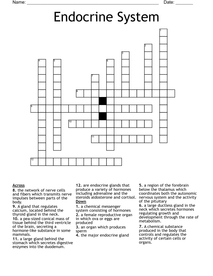 Endocrine System  Crossword