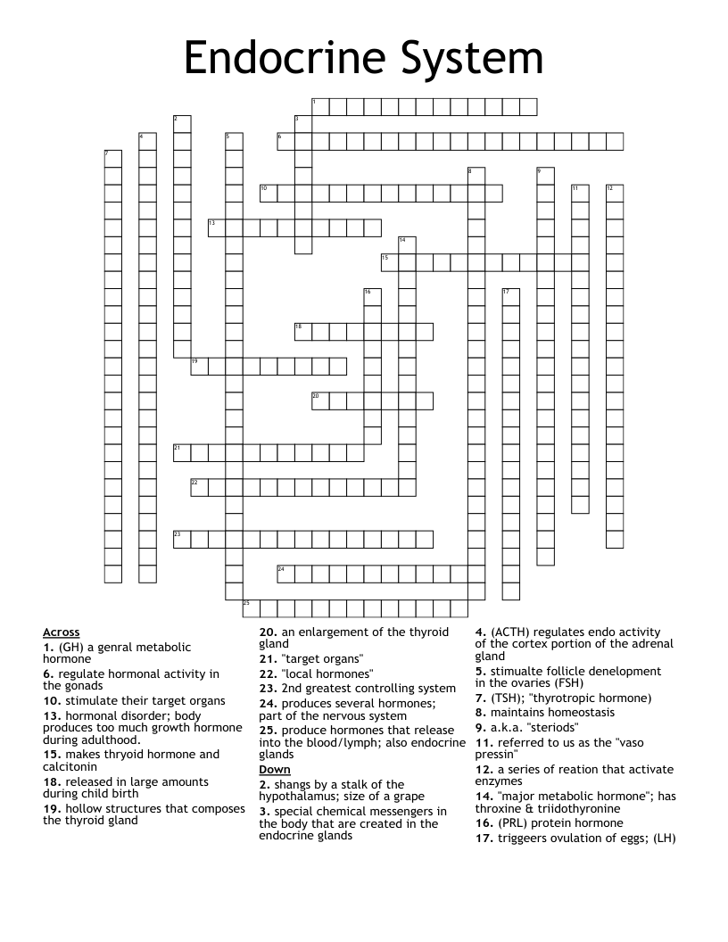 Endocrine System  Crossword