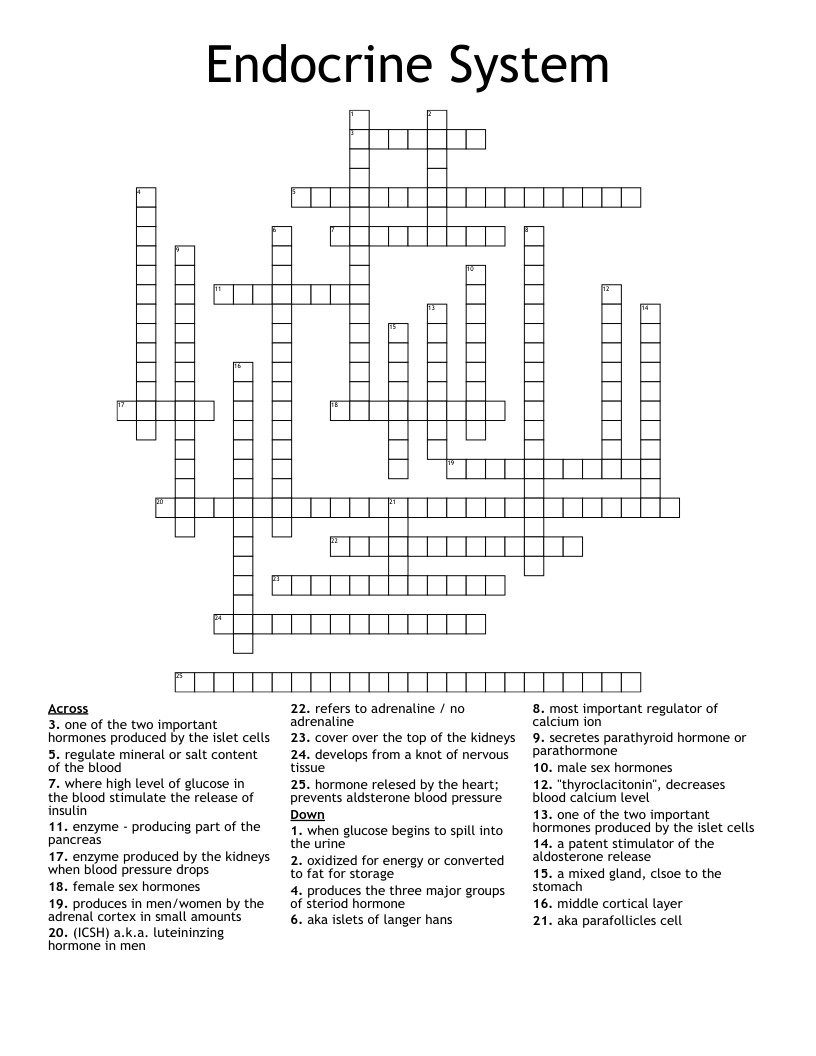 Endocrine System  Crossword