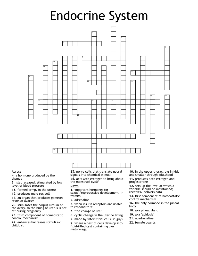 Endocrine System  Crossword