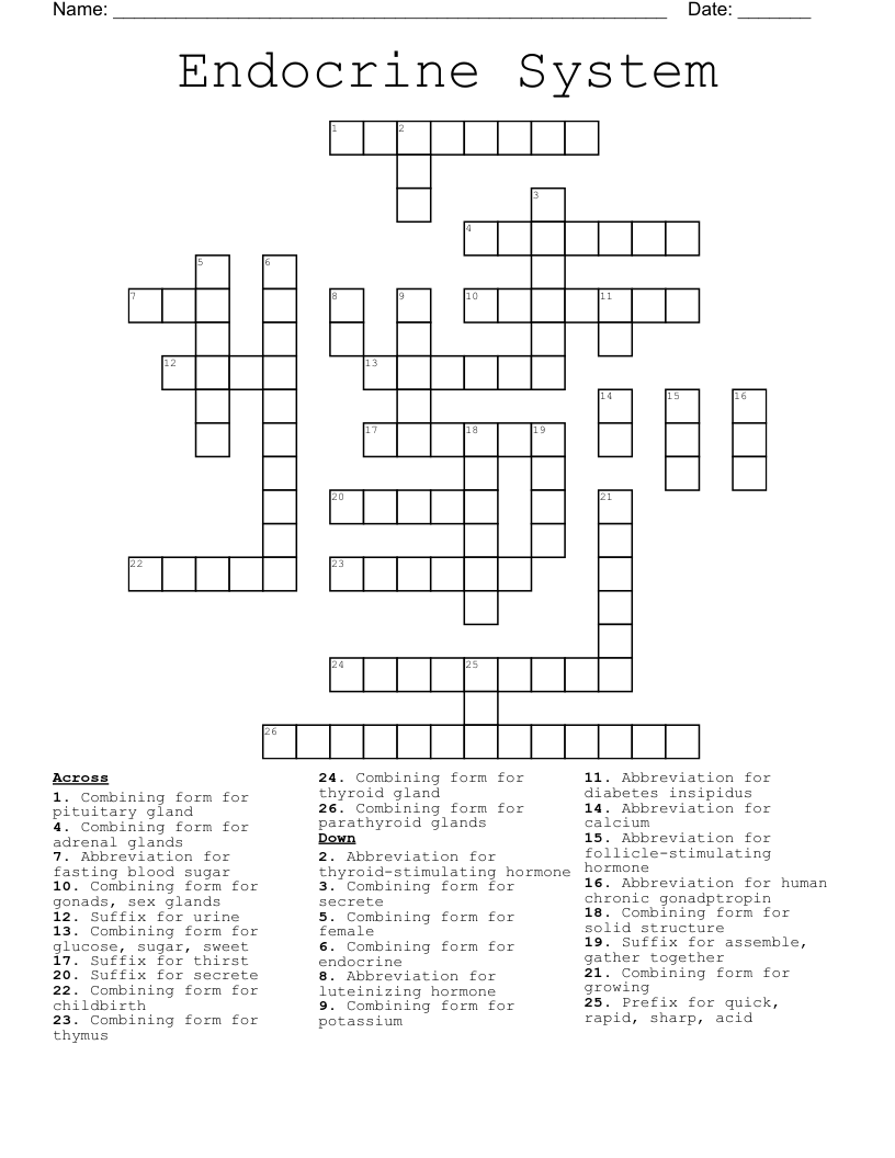 Endocrine System  Crossword