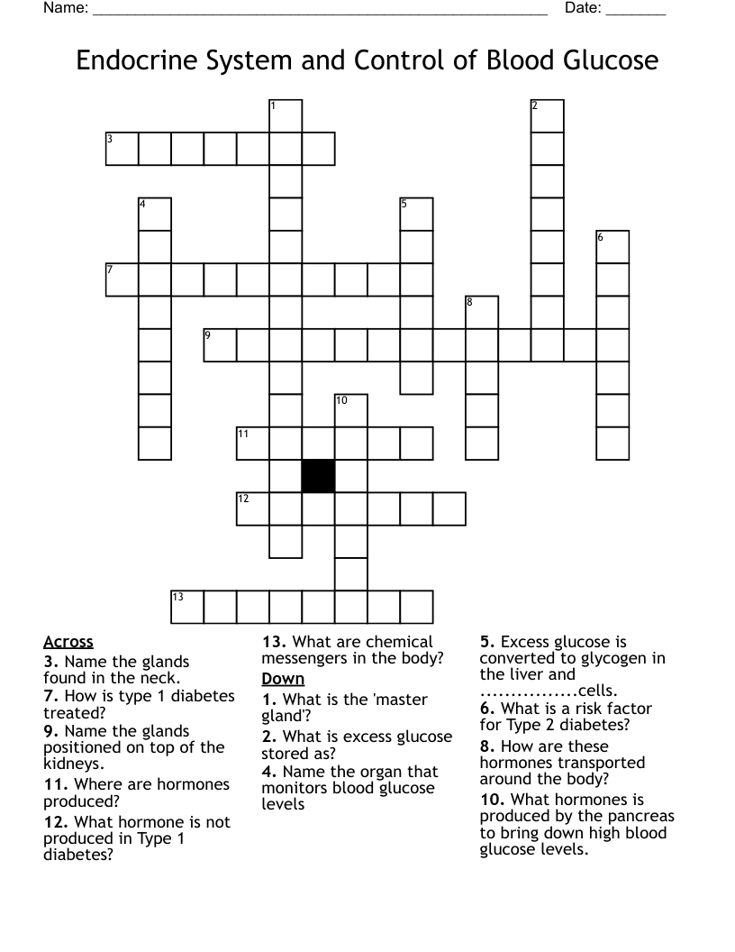 Endocrine System and Control of Blood Glucose Crossword