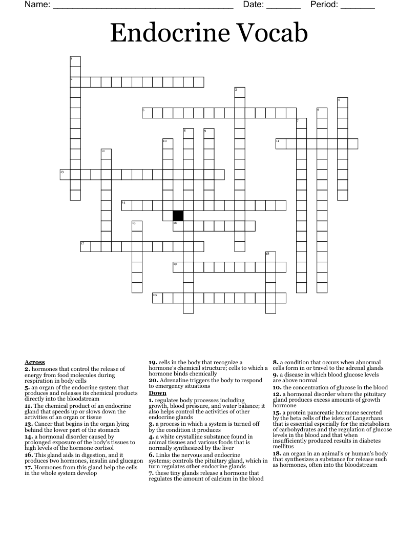 Endocrine Vocab Crossword
