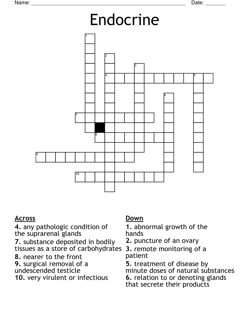 Endocrine  Crossword