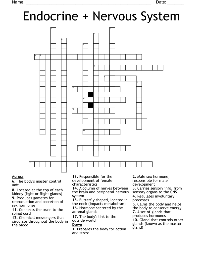 Endocrine + Nervous System  Crossword