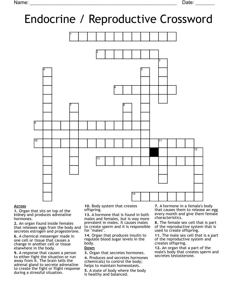 Endocrine / Reproductive Crossword