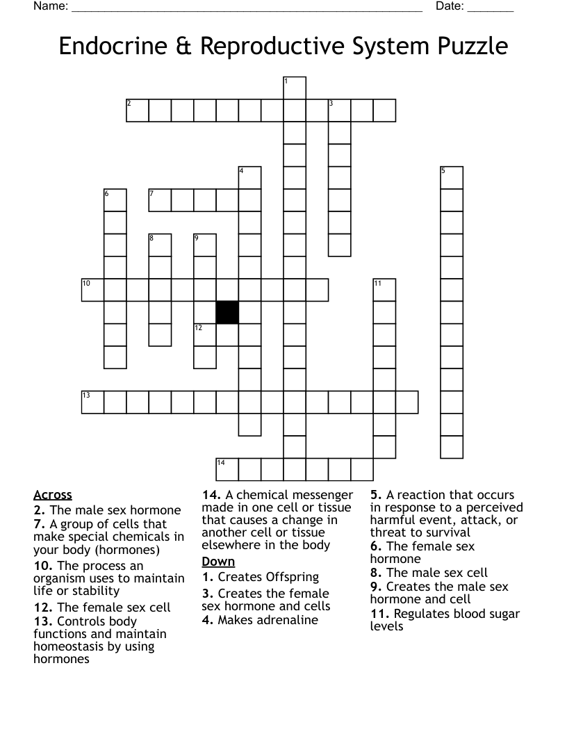 Endocrine & Reproductive System Puzzle Crossword